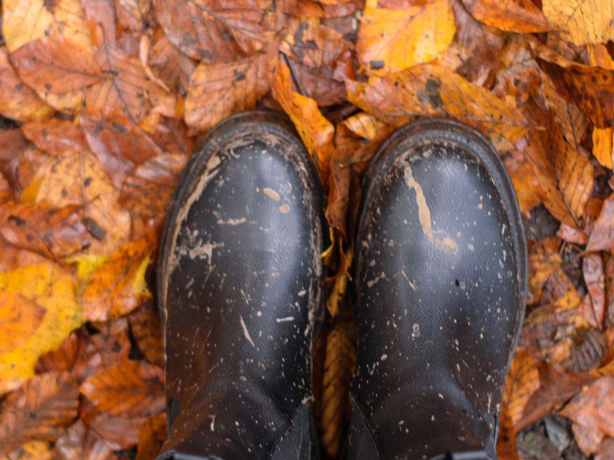 Muddy boots on leaves showing the kind of mud stains families deal with